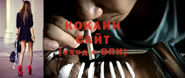 шишки Саяногорск
