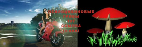 трава Балахна