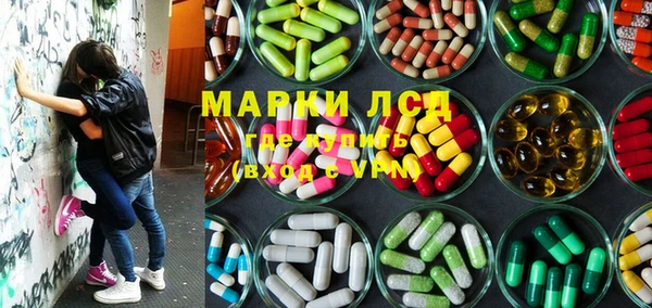 эйфоретик Баксан