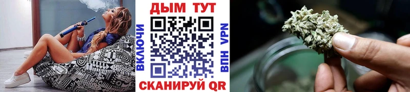 Конопля семена  сколько стоит  Горбатов 